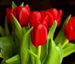 �������� ����� ������