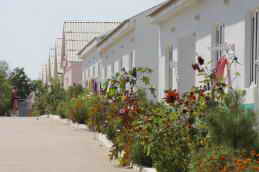 Атлантус база отдыха Орловка Крым Фото