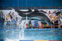 Ялта-Интурист отель Дельфинарий фото