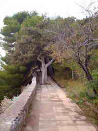 Санаторий Украина Крым территория фото