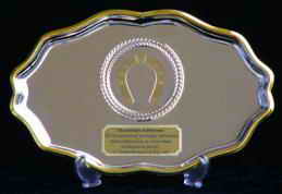 ���� �������� ������� � ��������� ������� ����������� ����, 2006 �.