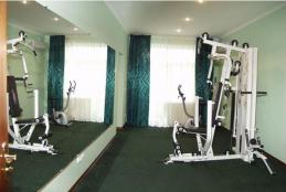 Санаторий Жемчужина Прикарпатья, 6-комнатный 2-этажный Апартамент, Тренажерный зал