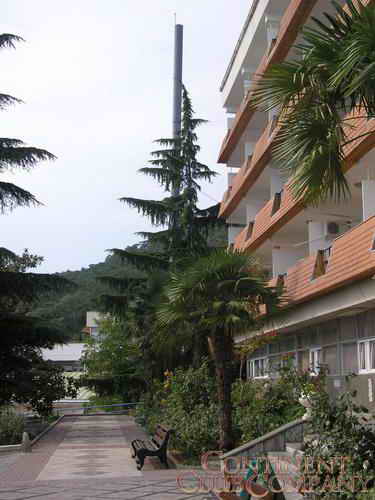 �����������