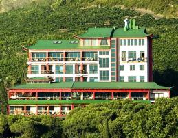 &nbsp; Отель Веселый Хотэй общий вид