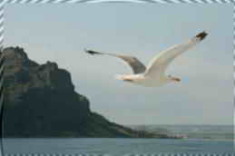 ����������� ������ � ��������� ���. ������, ��� "�����"