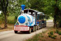 Санаторий Черноморец, Крым, паровозик Доставка на пляж фото