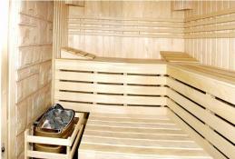 Санаторий Жемчужина Прикарпатья, 6-комнатный 2-этажный Апартамент, Сауна