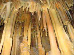 ������ �����-����-�����