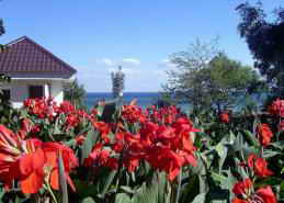 Санаторий Крым, Партенит парк