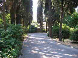 Санаторий им. Кирова. Парк