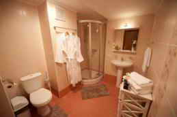 Отель Рипарио Хотэл санузел&nbsp; Superior