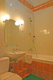 Отель Олимп. Однокомнатный номер