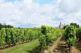 ���� ����������� ����