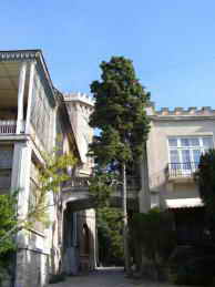 Санаторий матери и ребенка Ясная Поляна. Замок Голицына