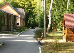 Санаторий Березовый гай, Территория