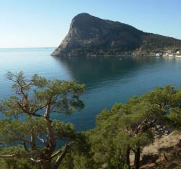 ����� ���� �����