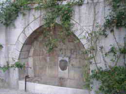 Санаторий матери и ребенка Ясная Поляна. Территория, парк