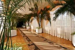 Санаторий Березовый гай, Холл