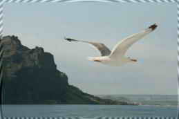 �����! ����� ��-��� - ���������� �������� (�� ���������)