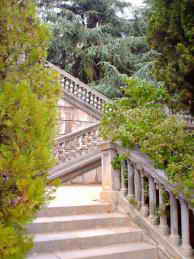 Санаторий Украина Крым территория фото