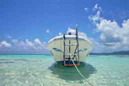 ������� �������� ����� ��������� �� ��������� �������