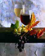 � ���� �������� ����� ����