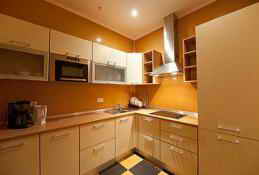 &nbsp;Отель Рипарио Хотэл Apartment А кухня