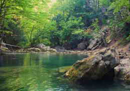 ������� ������ ������