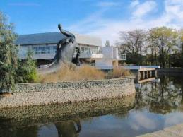 Гостиница Чайка 